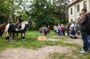 Bereits zum 3. Mal war ganz Quetz zum Tag des offenen Dorfes auf den Beinen, um die Vorzüge des Landlebens zu zeigen und zu feiern!