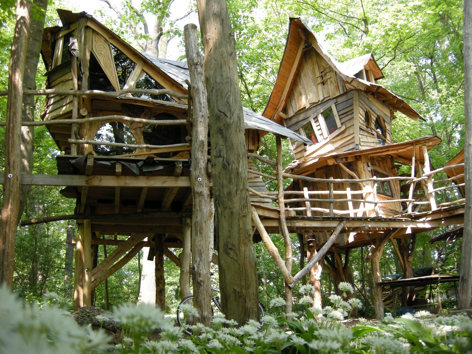 Verbundene Holzplattformen und Baumhäuser im Grünen