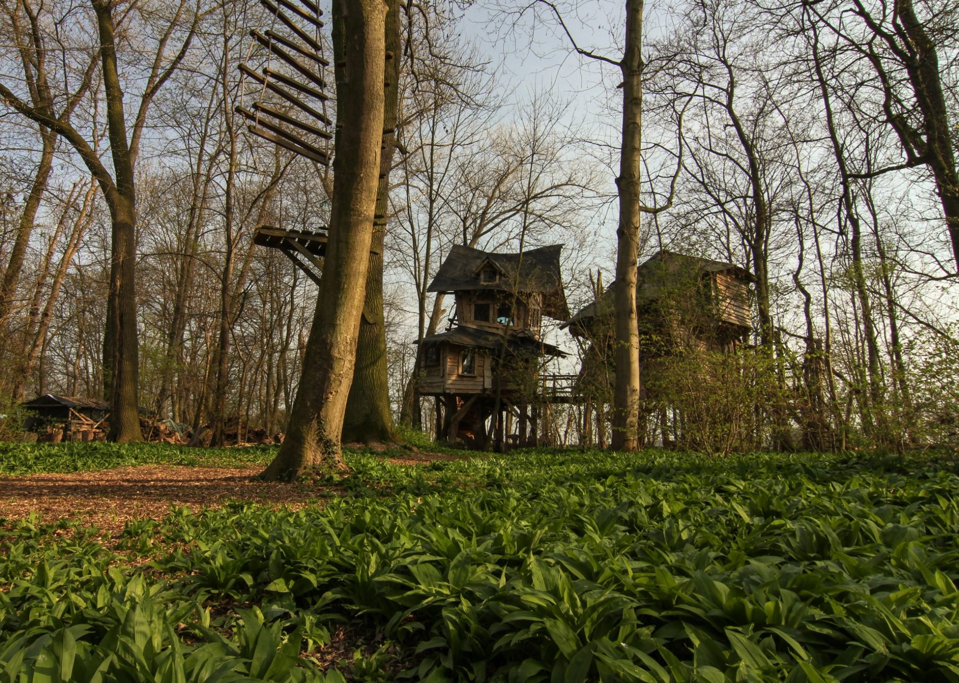 Baumhaus zwischen winterlichen Bäumen