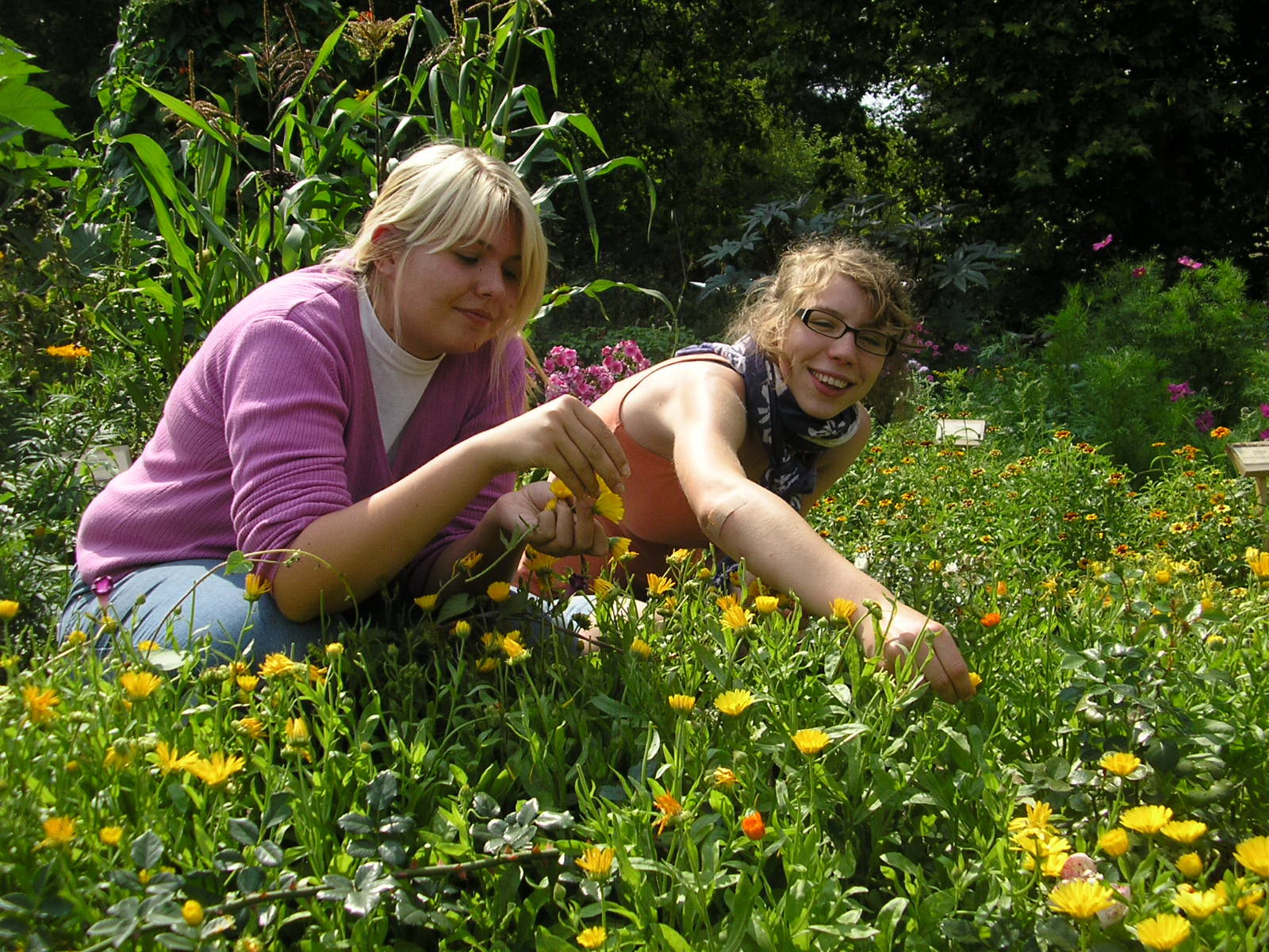 Jugendliche arbeiten gemeinsam im blühenden Schaugarten