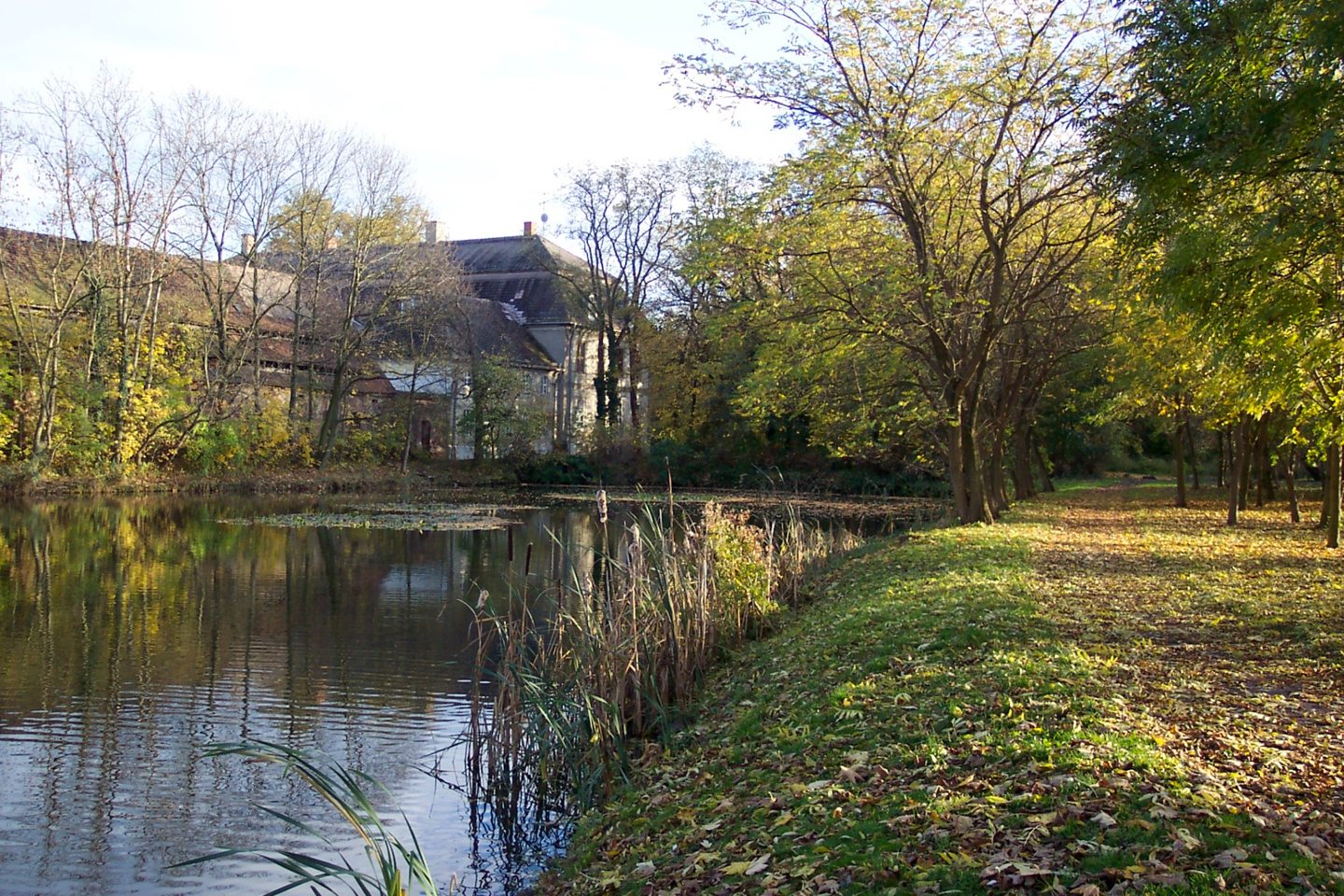 Schlossteich in Quetzdölsdorf