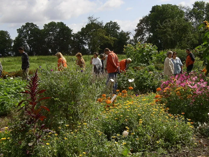 Menschen begegnen sich im blühenden Garten