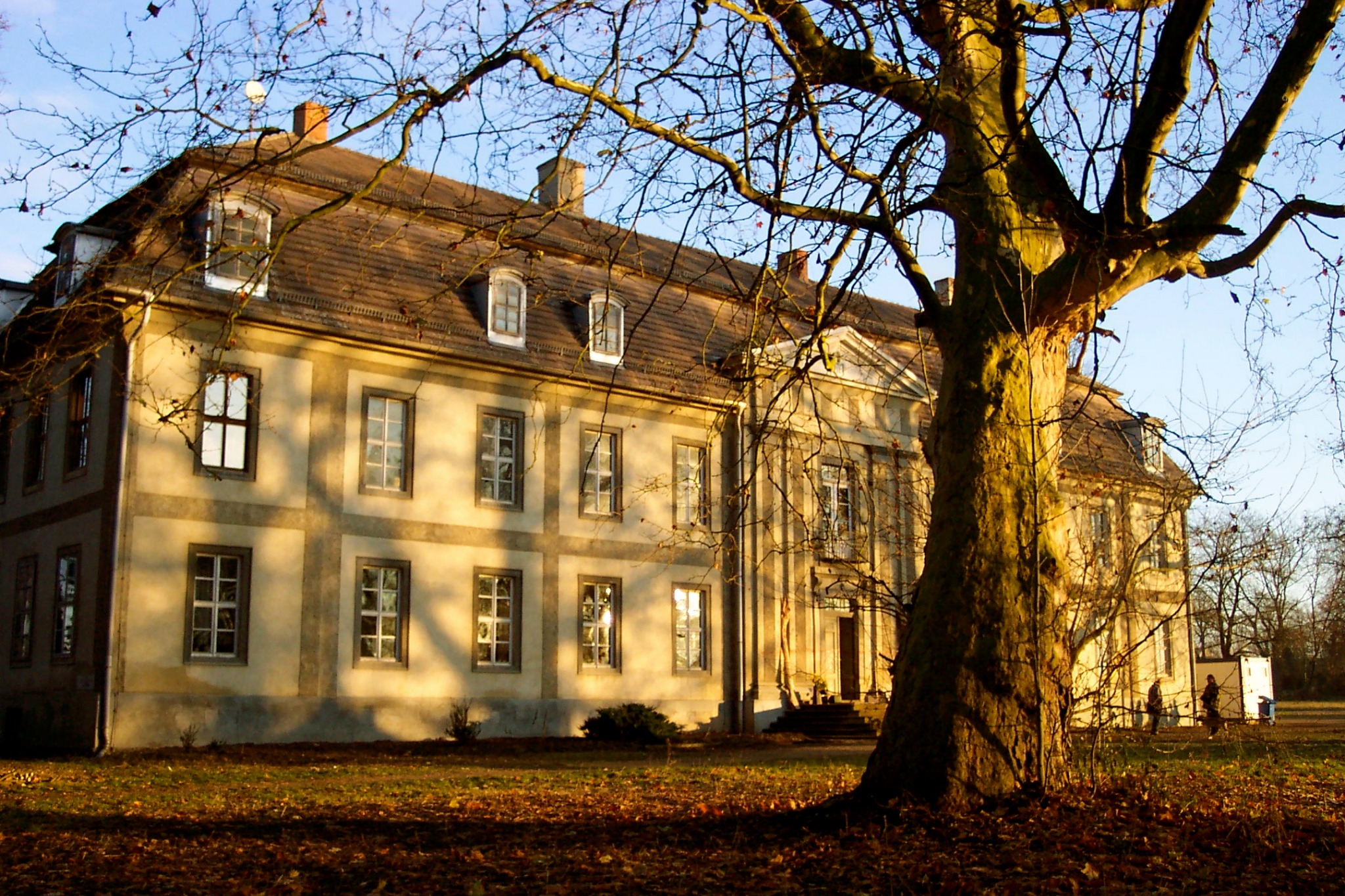 Quetzer Schloss im warmen Abendlicht hinter einem alten Baum