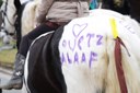 Erster Quetzer Karneval in Bildern.